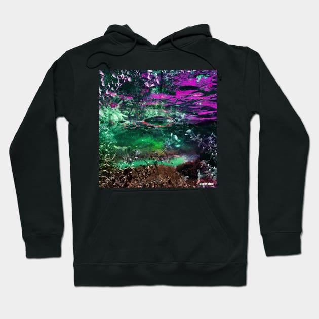 the magical landscape in mexican waterscape ecopop collage art Hoodie by jorge_lebeau